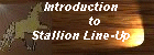 Introduction to Stallion Line-Up ~ Click Here ~