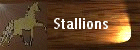 Meet our Stallions ~ Click Here ~