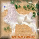 Webrings