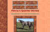 piercysquarterhorses.jpg (29843 bytes)