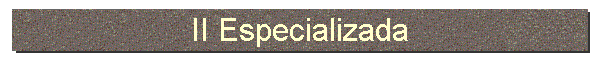II Especializada