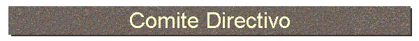 Comite Directivo