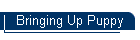 Bringing Up Puppy