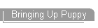 Bringing Up Puppy