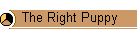 The Right Puppy