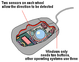 14mouse.gif (5137 bytes)