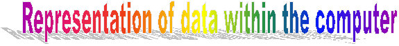 Representation of data within the computer