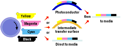 12colour.gif (4178 bytes)