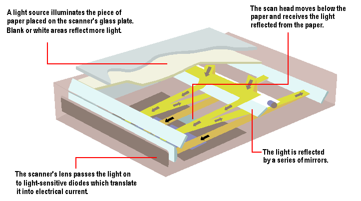 18scanner.gif (29859 bytes)