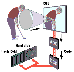 19imaging.gif (7952 bytes)