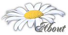 about.gif (6643 bytes)