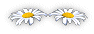 bar.gif (2345 bytes)