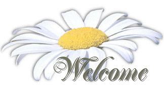 daisytop.gif (26616 bytes)