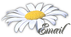 email.gif (6543 bytes)