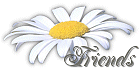 friends.gif (6704 bytes)