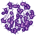 fireworks2.gif (6901 bytes)