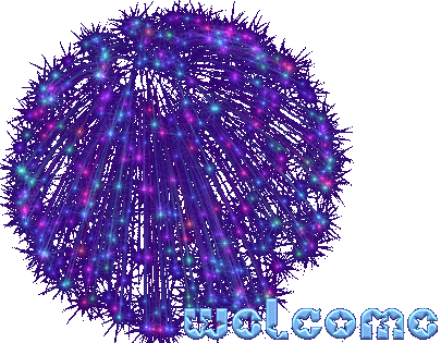fireworkstop.gif (79253 bytes)