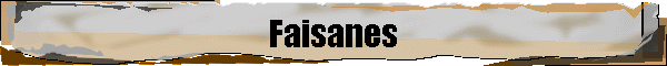 Faisanes