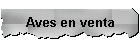 Aves en venta