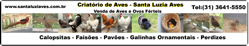 Santa Luzia Aves - SantaLuziAves