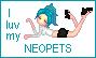 Click to go to Neopets.com.