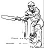 cricket3.gif