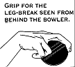 legbreak.gif