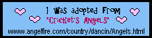 angeladoptcert