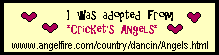 angeladoptcertreds