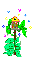 birdhouse