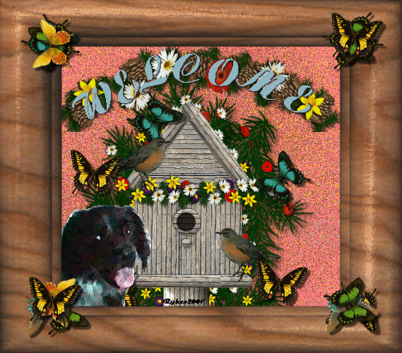 woodbirdhouse