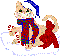 kittycane