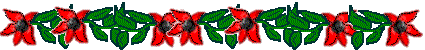 poinsettiapagedivider