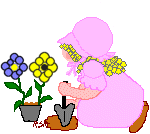 dollplanting