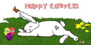 bunny4