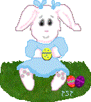 bunny5