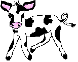 animcalf
