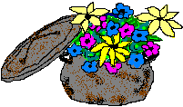 anisherryskettle