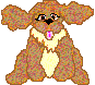 anispaniel