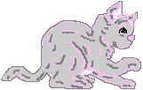 cat1