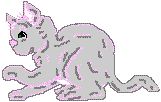 cat1rt