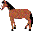 horse3