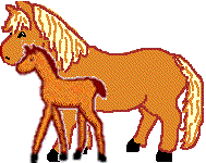 horsemomnbaby