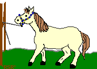 myanimhorse