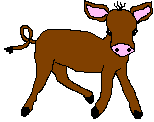 mycalf