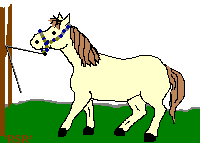 myhorse