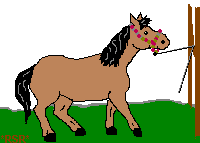 myotherhorsekicking