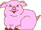 smplepig1