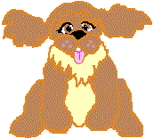 spaniel