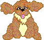 spanielsmall